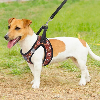 KOOLTAIL Fall Dog Harness and Leash Set for Small Medium Dogs, Autumn Step in No Pull Comfort Padded Pet Vest, Adjustable Reflective Easy Walking Puppy Cats Harness Training, Leaf & Flower M