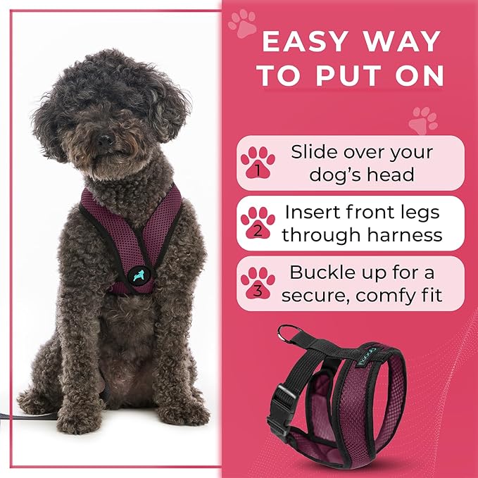 Gooby Comfort X Head In Harness - Purple, X-Large - No Pull Small Dog Harness Patented Choke-Free X Frame - Perfect on the Go Dog Harness for Medium Dogs No Pull, Small Dogs for Indoor and Outdoor Use