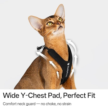 BuddyArmor Escape Proof Y Shape Cat Harness Anti-Choke Buckle Adjustable Comfortable Padded Cat Vest Harness Anti Escape Cat Rope Harness for Kitten Small Medium Large Cats (Olive, S)