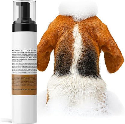 Luxe Foaming Dog Shampoo – Gentle, Moisturizing Pet Wash for Dry & Sensitive Skin – Skin Soothing, Odor Control, Shiny Healthy Coat – 8 fl oz (Amber Sandalwood)