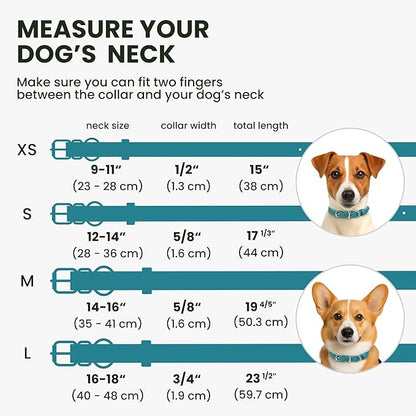 BRONZEDOG Rolled Leather Dog Collar for Small Medium Large Dogs with QR ID Tag (M: 14-16 Inch, Teal)