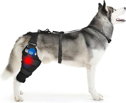 Dog Knee Brace for Torn ACL Hind Leg – Comfortable Adjustable Knee Brace for CCL Injury & Luxating Patella, Includes Removable Hot/Cold Compress Gel Packs for Joint Recovery, Right Leg, Size L