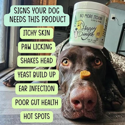Dog Allergy Relief Chews for Itchy Skin - Stop Paw Licking, Itchy Ears, Support Seasonal Allergy - with Probiotics and Salmon Oil - 120 Count - Bacon Flavor