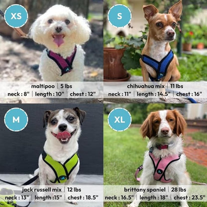 Gooby Comfort X Step in Lite Dog Harness - Choke Free, Escape Free with Light Breathable Mesh - Step in Dog Harness for Small Dogs Only - Quick Release Buckle, Metal D-Rings - Flamingo Pink, Large
