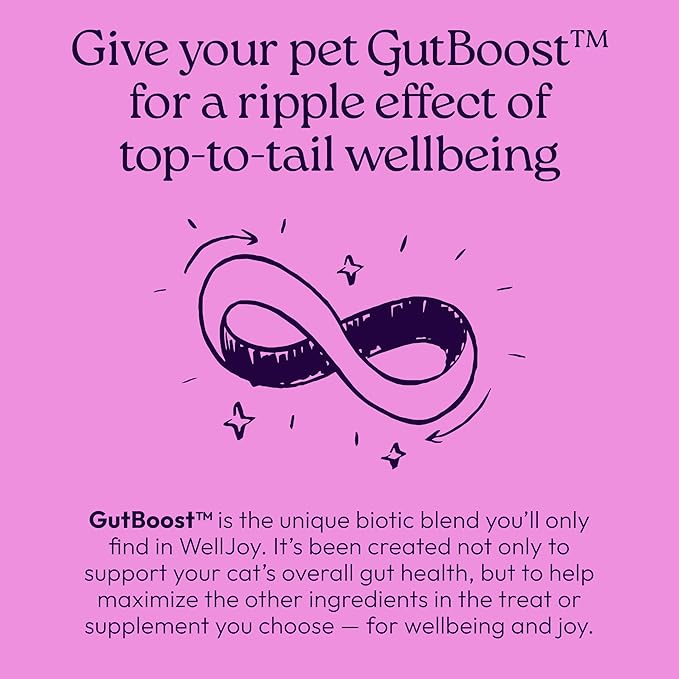 New! WellJoy Cat Supplement Calming+ GutBoost | Cat Health Supplement | Promotes Relaxation & Calmness | Dual-Benefit GutBoost Formulation | Vet Formulated | USA Made | Chicken Flavor | 90 Soft Chews