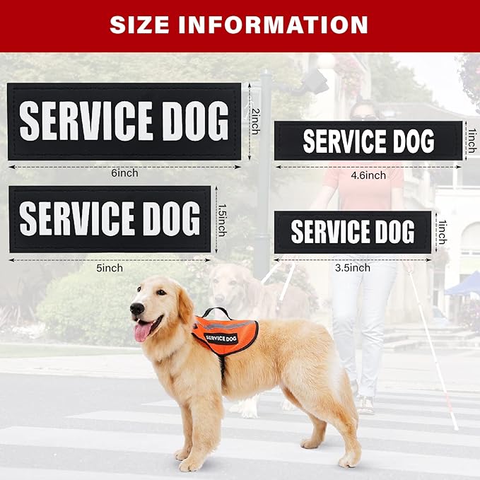 2Pack Service Patches, Removable Harness Patch for Dogs, Vest Patches With Hook Backing, in Training Patch, Black, Service Dog-L