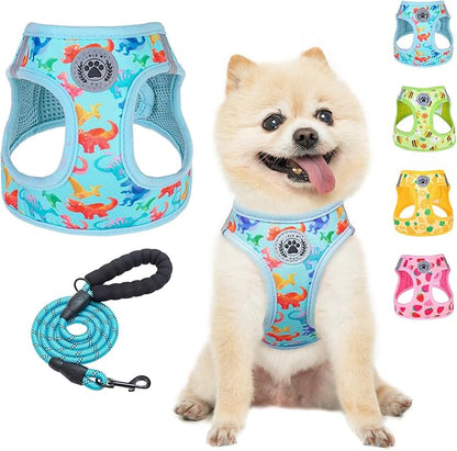 BEAUTYZOO Step in Dog Harness and Leash Set,Reflective Dog Harness No Pull No Choke Puppy Harness for Small Medium Large Dogs Cats,Soft Padded Mesh Vest Harnesses for Girl and Boy Pets,Dinosaurs M