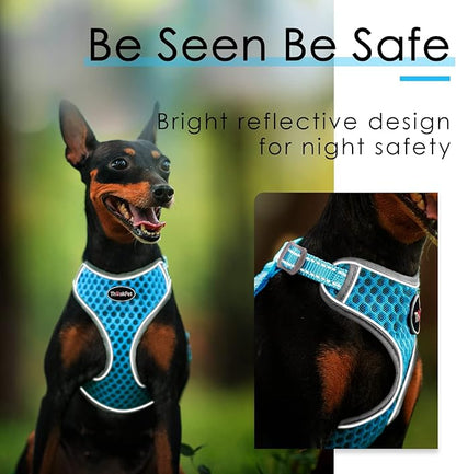 ThinkPet Reflective Breathable Soft Air Mesh No Pull Puppy Choke Free Over Head Vest Harness for Puppy Small Medium Dogs and Cats Light Blue Large