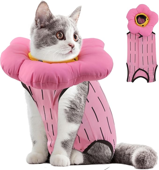EMUST 2PCS Cat Recovery Suit & Cat Surgery Suit - Soft, Adjustable Flower Collar for Female Kittens Under 4lb (Pink, S)