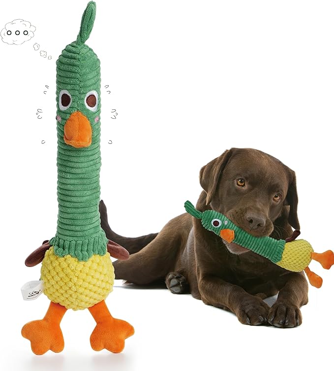 Nocciola 2 in 1 Duck Dog Toy with a Large Rubber Squeaker - Tough Durable Stuffed Squeaky Crinkle Chew Toys for Aggressive Chewers, Medium and Large Breeds