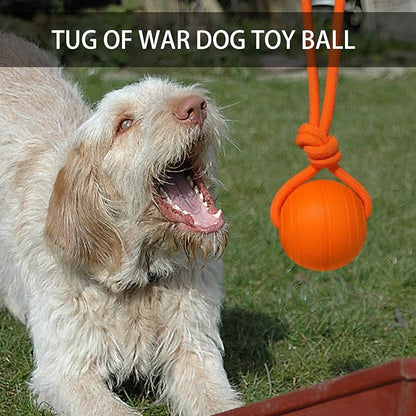 Floating Foam Dog Ball On a Rope Dog Toy, Tug Ball Toy for Small Medium Large Dogs