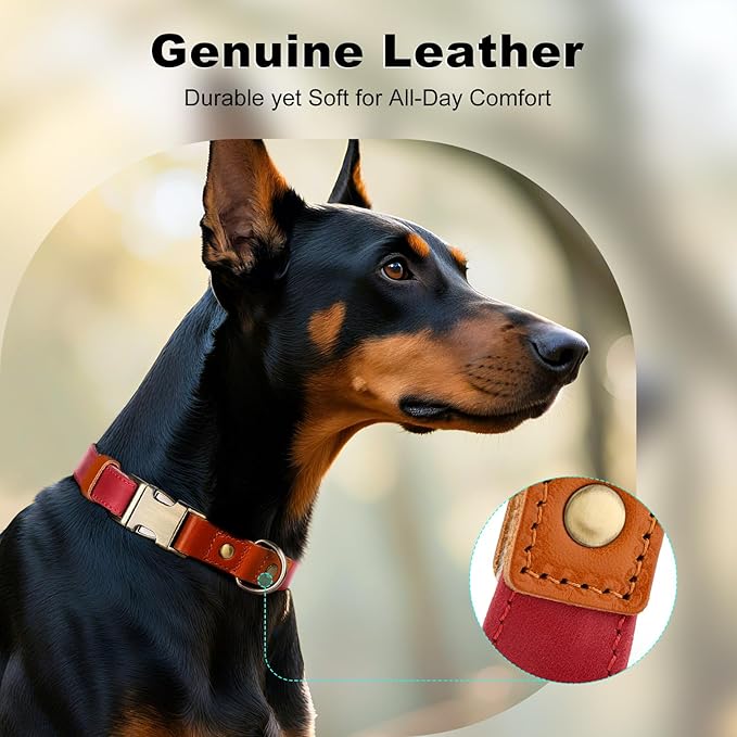 Plutus Pet Genuine Leather & Hemp Dog Collar – Adjustable Heavy Duty Pet Collar with Quick Release Metal Buckle, Soft & Stylish for Puppy and Small, Medium, Large Dogs (Red, XS)