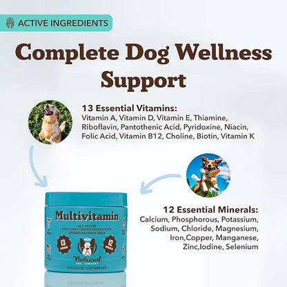 Natural Dog Company 25-in-1 Multivitamin for Dogs – Vet-Formulated Soft Chews for Puppies, Adults & Seniors, Supports Joints, Skin, Coat, Immune & Heart Health, NASC Certified, 180 Count