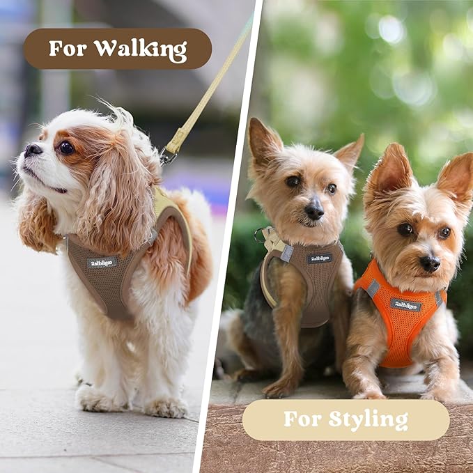 rabbitgoo Small Dog Harness, Step-in Soft Mesh Puppy Vest with Safety Buckle, Breathable Reflective Pet Harness for Extra Small Dogs, Brown & Beige XXS