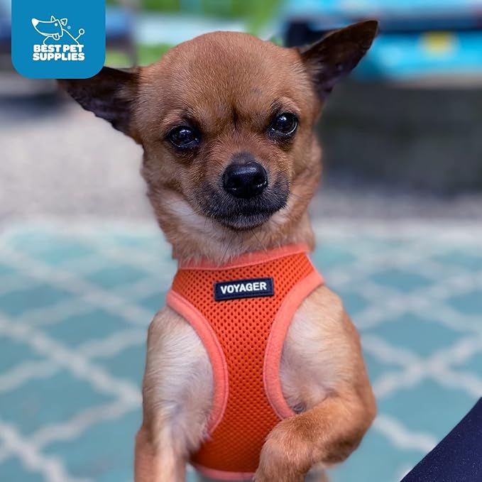 Best Pet Supplies Voyager Step-in Air Harness - All Weather Mesh, Reflective, No Pull Harness for Dogs, Cats - Secure with Hook & Loop Fastener, Buckle, Double D-Rings - Orange, XXS