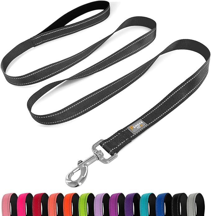 Dog Leash 6 FT Padded Handle Nylon Reflective Dogs Leashes for Small Dogs Black