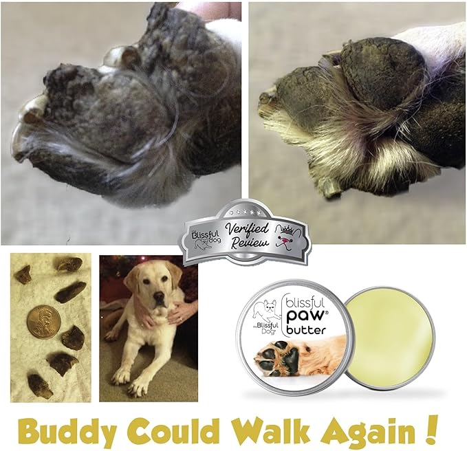 The Blissful Dog Paw Butter, Moisturizer for Dry Paw Pads, Softens and Protects a Rough Paw in Winter, Versatile, Lick-Safe Dog Paw Pad Balm 0.15 oz.