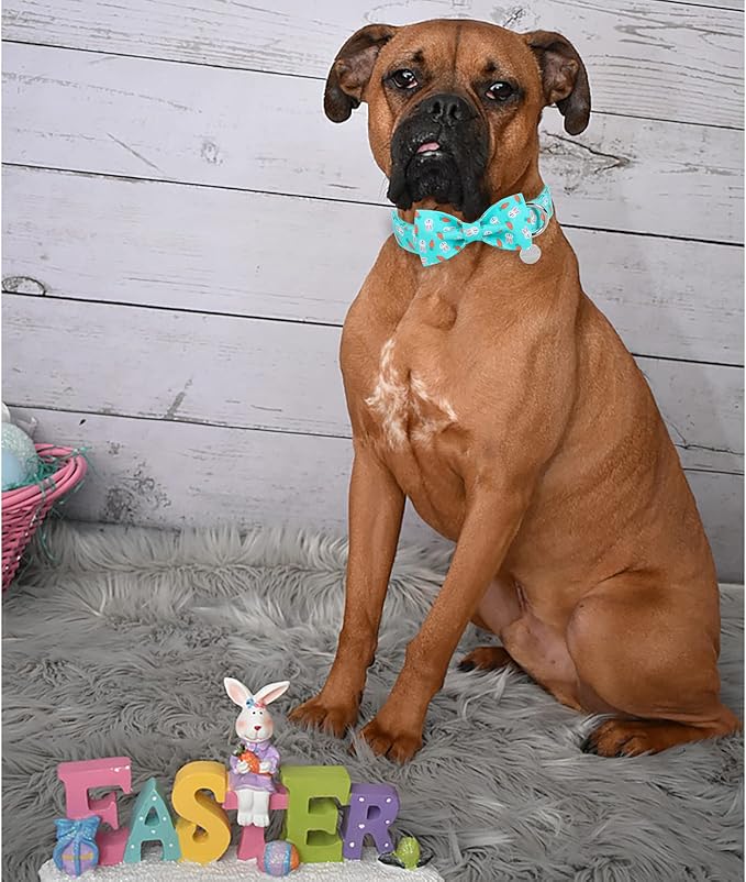 UP URARA PUP Easter Dog Collar with Bow Tie, Cotton Easter Bowtie Collar for Medium Girl Boy Dog, Cute Carrot Pet Collar with Metal Buckle, Easter Gift Rabbit Dog Collar, M