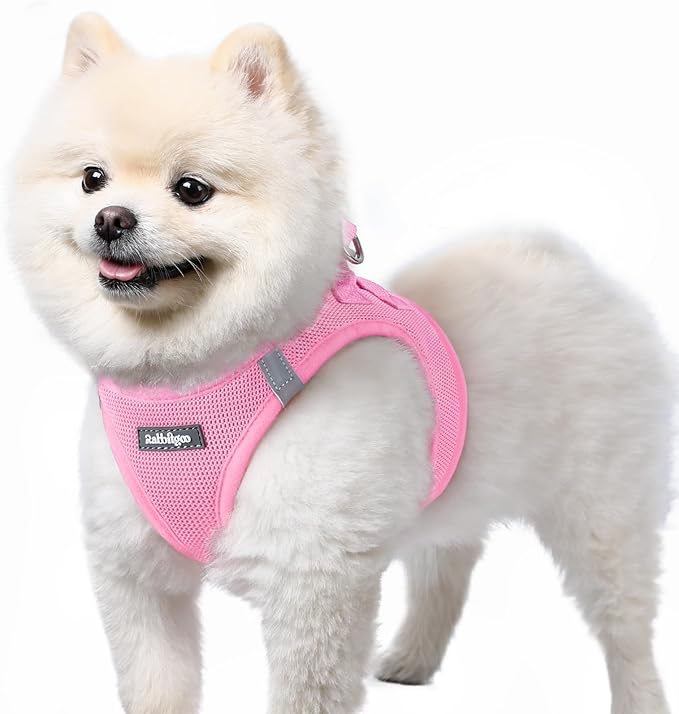 rabbitgoo Small Dog Harness, Step-in Soft Mesh Puppy Vest with Safety Buckle, Breathable Reflective Pet Harness for Small Sized Dogs, Light Pink S
