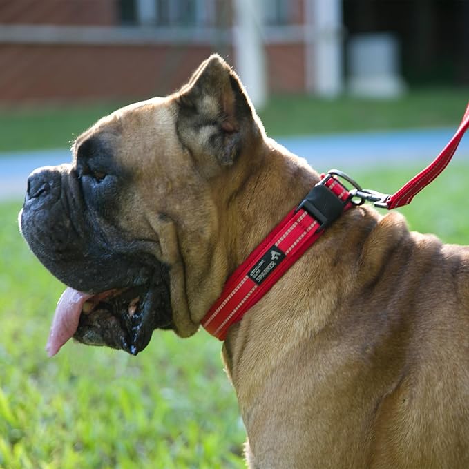 EXCELLENT ELITE SPANKER Reflective Dog Collar Classic Soft Padded Breathable Nylon Adjustable Pet Collar with Quick Release Buckle for Boy Girl Male Female Small Medium Large Dogs Training(Black-XL)