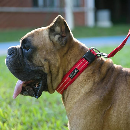 EXCELLENT ELITE SPANKER Reflective Dog Collar Classic Soft Padded Breathable Nylon Adjustable Pet Collar with Quick Release Buckle for Boy Girl Male Female Small Medium Large Dogs Training(Purple-S)