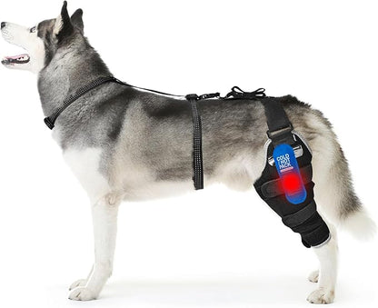 Dog Knee Braces for Back Leg, Adjustable ACL Support for Dogs with Luxating Patella, Includes Hot & Cold Gel Packs for Joint Pain Relief, Left Leg, Size L