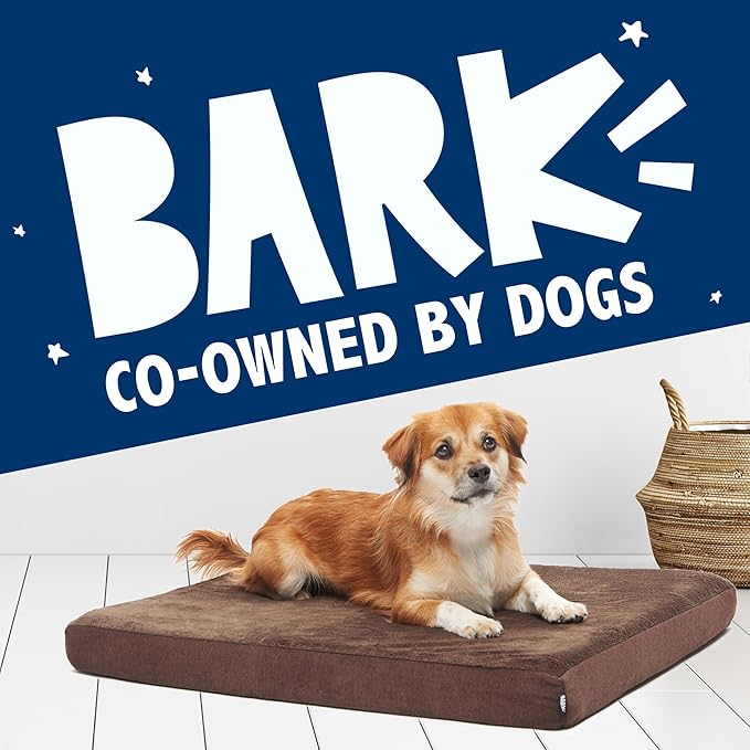 Barkbox Orthopedic Dog Bed | Comfortable Memory Foam Mattress for Joint Relief | Head and Neck Support Waterproof with Non Skid Bottom | Calming Durable Bed with Washable Cover | Small, Espresso