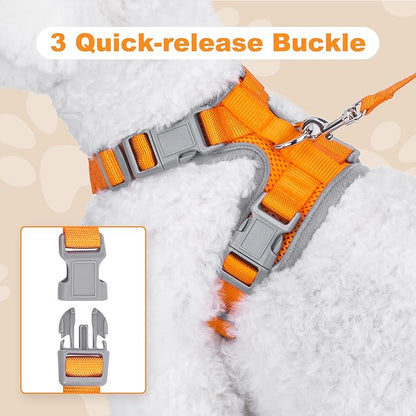 Small Dog Harness and Leash Set, No Pull Adjustable Pet Harness for Small Dogs, Breathable Mesh Rflective Dog Vest Harness (Orange, S)