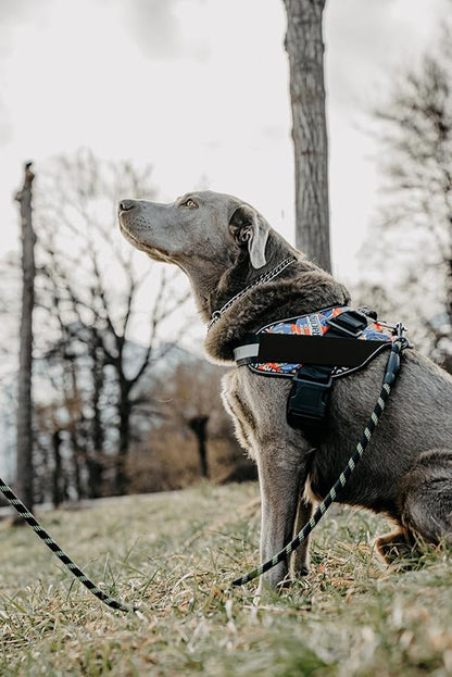 DOGGYKINGDOM Non Pull Dog Harness with Patch Panels and Handle, Adjustable, Reflective, No Choke, Heavy Duty Easy On Service Dog Vest Harnesses for Medium Large Small Sized Dogs - Green, XL
