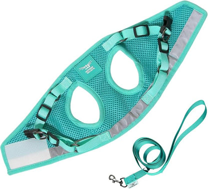 Travel Cat x Jackson Galaxy Harness and Leash Set - Adjustable Fit Mesh Cat Harness with Nylon Leash - Comfort, Escape Proof Harness for Cats, Kitten for Outdoor Walking, Hiking (Large)