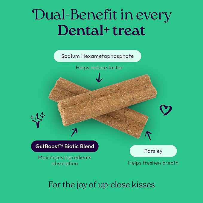 New! WellJoy Dog Treat Dental+ GutBoost | Helps Reduce Tartar | Freshens Breath | Dual-Benefit GutBoost Formulation | Vet Formulated | Made in USA | Made with Real Shredded Chicken | 24 Sticks