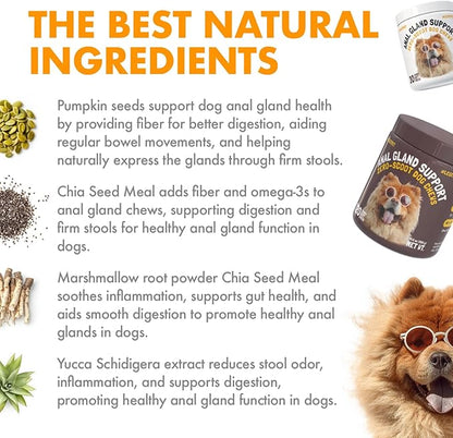 LEGITPET Anal Gland Relief Chews for Dogs Fiber & Digestive Support Supplement Soft Treats for Healthy Bowel & Gland Function Helps Reduce Scooting Promotes Dog Health & Comfort 120 pcs