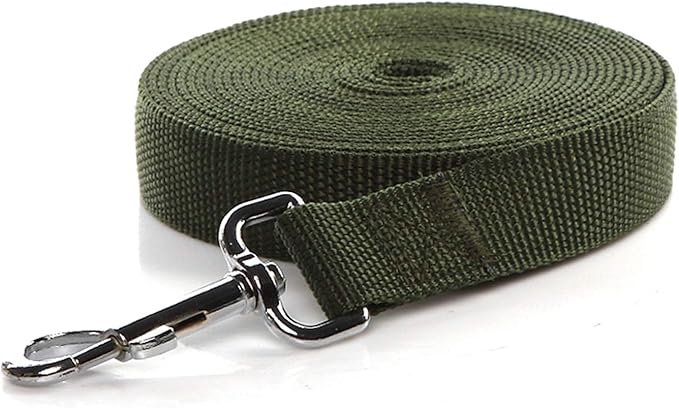 TAIDA Strong Nylon 16 Feet Long Dog Leash, 16 Foot Dog Leashes for Medium Large Dogs, 1 Inch Wide
