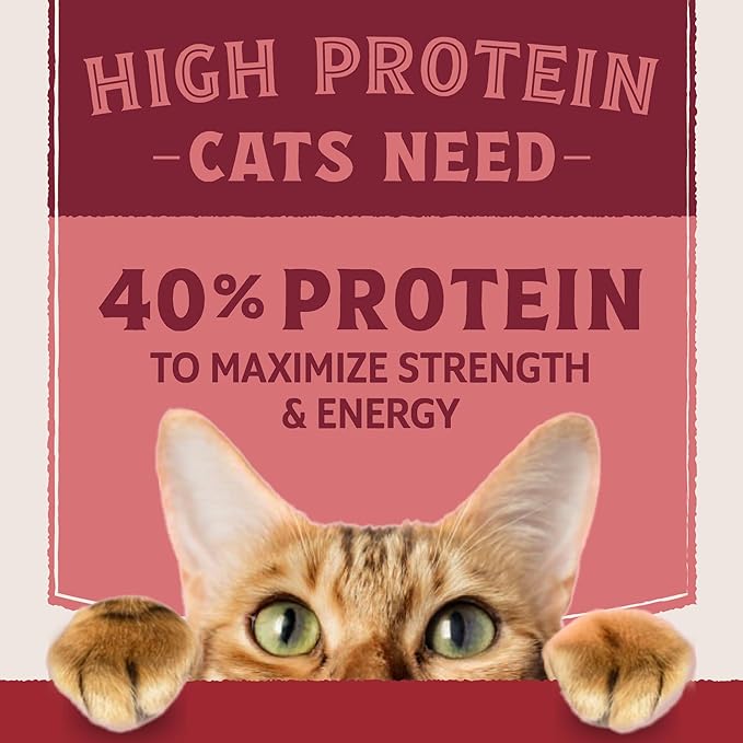 Natural Balance Ultra Protein Dry Cat Food, Real Salmon & Chicken Meal Recipe with Chicken Liver & Chicken Hearts - 10 lbs.