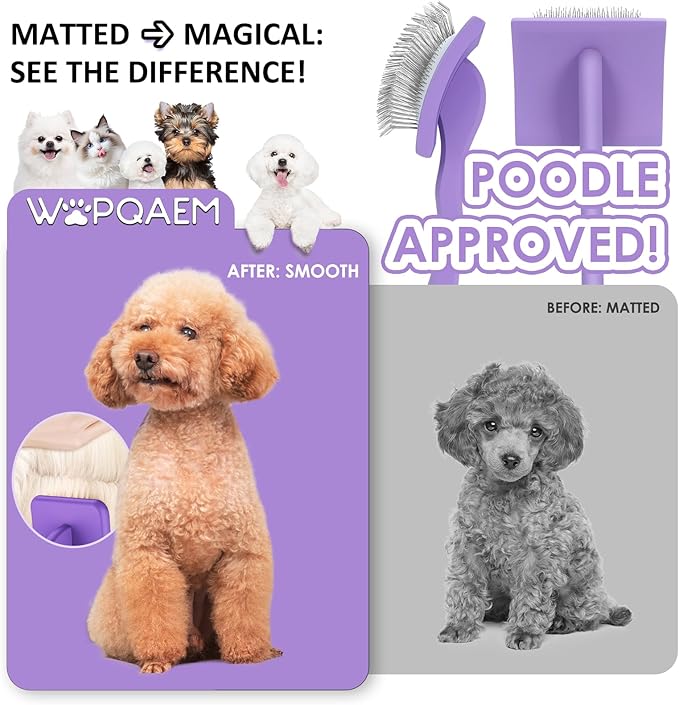Slicker Brush for Dogs, Large Dog Brush to Long Haired Dogs for Goldendoodles Poodles Doodles Bernedoodles, Long Pin Grooming Kits to Dematting & Reducing Tangles and Fluff, Purple