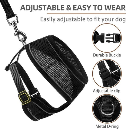 PUPTECK Soft Mesh Dog Harness and Leash Set Pet Puppy Cat Comfort Padded Vest No Pull Harnesses