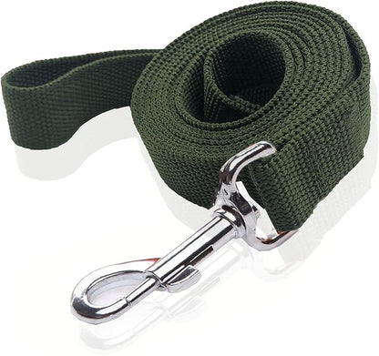 Nylon Dog Leash 10 Feet Long, Walking Training Dog Leashes for Medium Large Dogs, 1 Inch Wide (Green)