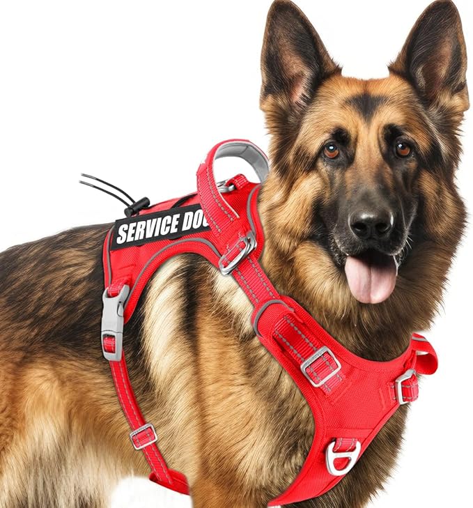 BARKBAY Service Dog Vest Tactical Dog Harness Medium Large Sized Dog Tags Personalized No Pull Adjustable Harness Reflective K9 Working Training Easy Control Military Molle System(Red,L