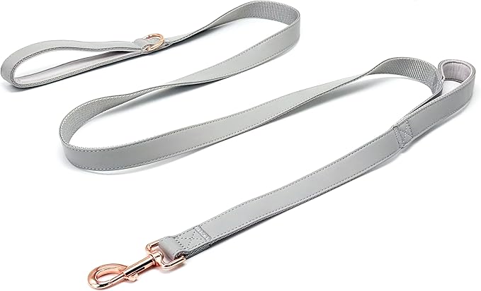 Dog Leash 6ft Long,Traffic Padded Two Handle,Heavy Duty,Double Handles Lead for Control Safety Training,Leashes for Large Dogs or Medium Dogs,Dual Handles Leads (Grey, 25MM*6FT)