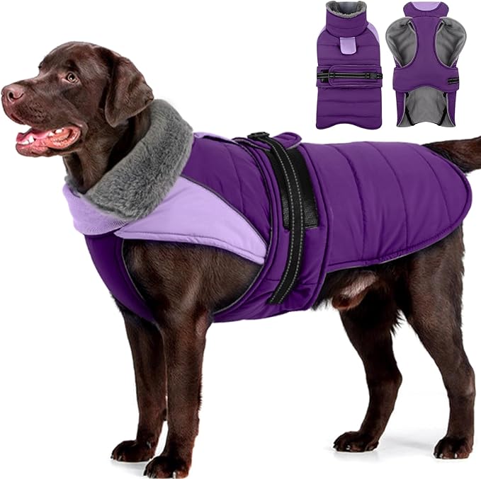 MIGOHI Dog Winter Coat - Reflective Medium Dog Snow Jacket with Thick Turtleneck,Windproof Pet Fleece Vest, Cold Weather Coat for Medium Dogs, Snowproof for Hiking,Camping,L,Purple