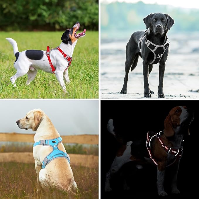 Plutus Pet No Pull Dog Harness, Release at Neck, Reflective Adjustable Dog Vest Harness, Easy Control Handle for Walking, for Small Medium Large Dogs, Gray, S