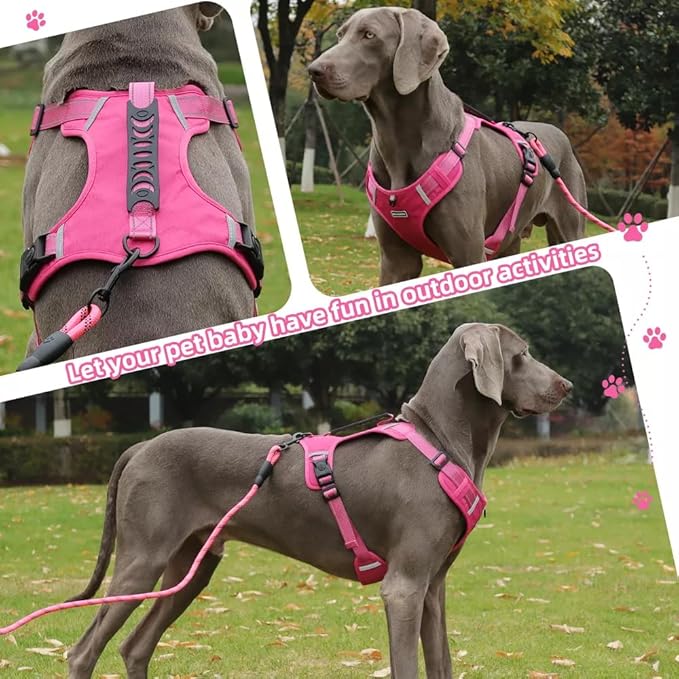Dog Harness No Pull Adjustable Reflective,for Medium and Large Small Dog with Leash 59.06in (Fuscia, XS)