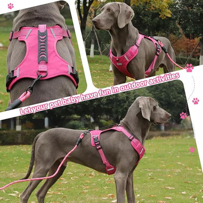 Dog Harness No Pull Adjustable Reflective,for Medium and Large Small Dog with Leash 59.06in (Fuscia, S)