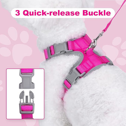 Small Dog Harness and Leash Set, No Pull Adjustable Pet Harness for Small Dogs, Breathable Mesh Rflective Dog Vest Harness (Rose Red, M)