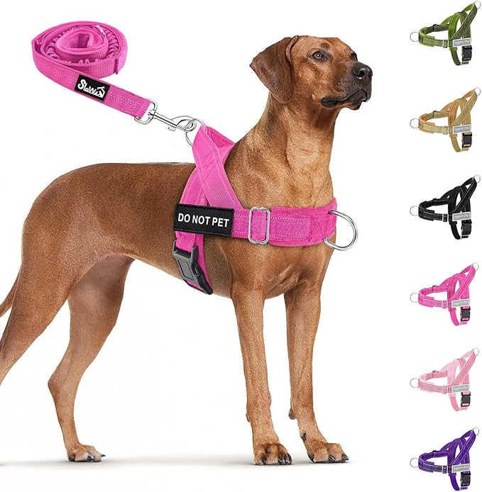 SlowTon No Pull Dog Harness - Heavy Duty Dog Harness and Leash Set for Medium Large Dogs, Reflective Tactical Harness with Soft Padded and Front Clip for Easy Walk and Training (Fuchsia M)
