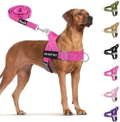 SlowTon No Pull Dog Harness - Heavy Duty Dog Harness and Leash Set for Medium Large Dogs, Reflective Tactical Harness with Soft Padded and Front Clip for Easy Walk and Training (Fuchsia M)