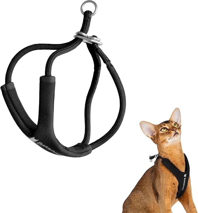 BuddyArmor Escape Proof Y Shape Cat Harness Anti-Choke Buckle Adjustable Comfortable Padded Cat Vest Harness Anti Escape Cat Rope Harness for Kitten Small Medium Large Cats (Black, S)