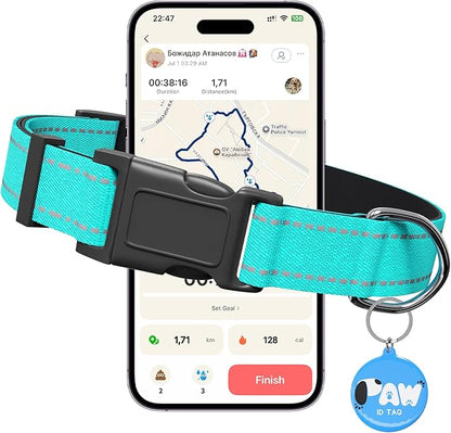 Reflective Dog Collar for Medium Dogs with Dog Tags Personalized & Quick Release Buckle, Adjustable and Comfortable Nylon Pet Collar, Mint Green