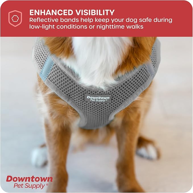 Downtown Pet Supply Step-in Dog Harness – No Pull, Adjustable Padded Mesh with Reflective Trim, Secure Buckle Strap – Comfortable & Breathable Small Dog Harness, Medium, Light Gray