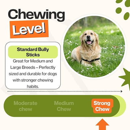Bully Sticks for Dogs, (6 Inch, 5 Count), Dog Chew Toy for Aggresive Chewer, Long-Lasting, 100% Grass-Fed Beef Pizzle - Ideal for Medium and Large Dogs - Rawhide-Free